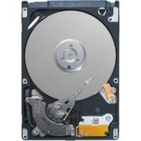 Seagate ST980310AS