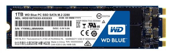 Western Digital WDS100T1B0B