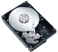 Seagate ST3500620SS