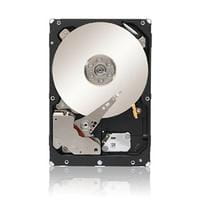 Seagate ST4000NM0033
