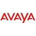 Nortel Avaya 700213481