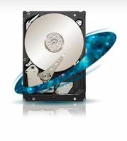 Seagate ST500NM0001