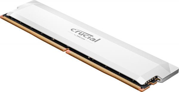 Crucial CP16G64C38U5W