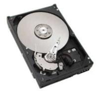 Seagate ST3400832AS