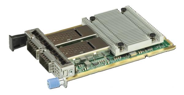 Supermicro AOC-A100G-M2CM-O