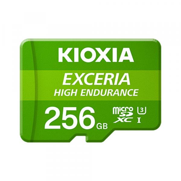 Kioxia LMHE1G256GG2