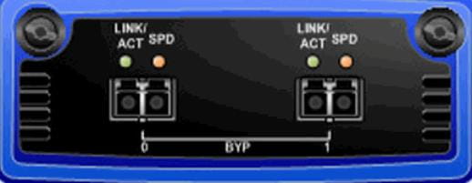 Juniper Networks IDP-10GE-2SR-BYP