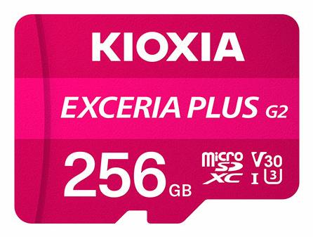 Kioxia LMPL2M256GG2