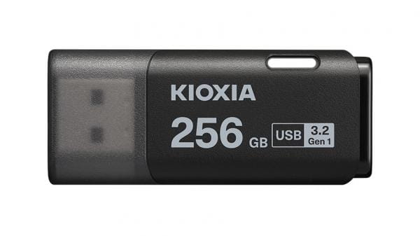 Kioxia LU301K256GG4