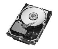 Seagate ST373207LW