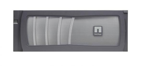 NetApp F2240A-4-24X2TB-2-R6